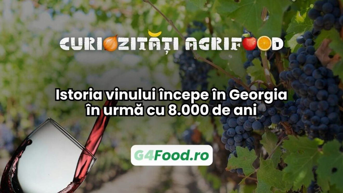 Curiozități agrifood - 2 iulie | Istoria vinului începe în Georgia în urmă cu 8.000 de ani/ Puțini știu, dar de aici provin cele mai vechi dovezi arheologice de vinificație