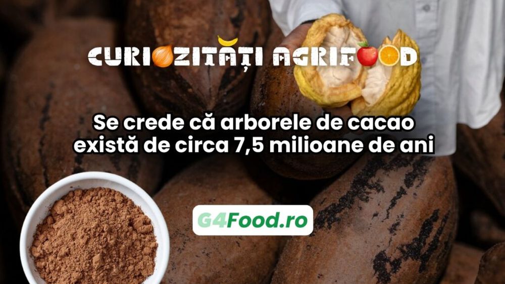 Curiozități agrifood: Se crede că arborele de cacao există de circa 7,5 milioane de ani