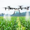 Fermierii susțin utilizarea dronelor în agricultură, dar cer reguli clare și testare științifică pentru aplicarea pesticidelor / AIPROM: „O abordare fără asigurări bazate pe date tehnice și pe știință ar fi riscantă”