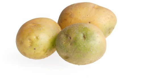 VIDEO | Trucul folosit de fermierii germani pentru a dubla cantitatea de cartofi de sămânță