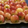 Ai mâncat ani de zile acest ingredient obținut din insecte fără să știi. Se găsește pe mere, pere și alte fructe