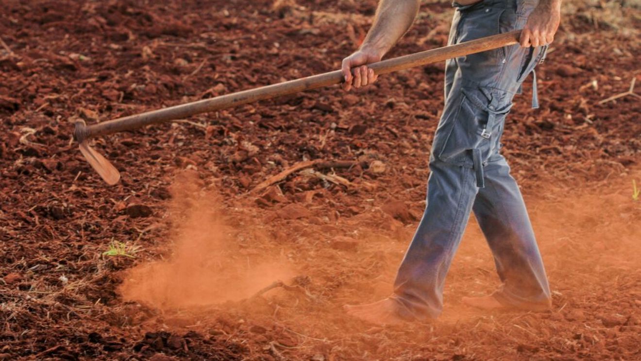 Persoane cu dizabilităţi exploatate într-o fermă din Iași. Un bărbat a fost arestat preventiv