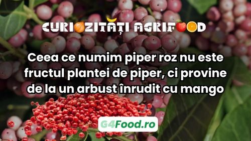 Curiozități agrifood - Ceea ce numim piper roz nu este fructul plantei de piper, ci provine de la un arbust înrudit cu mango