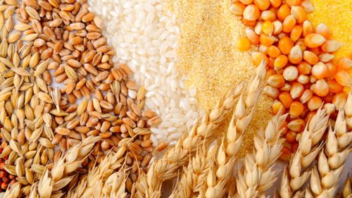 Ucraina vrea să convingă UE să prelungească acordul care scuteşte produsele agricole ucrainene de la plata taxelor vamale/ Negocierile se anunţă tensionate din cauza fermierilor europeni care denunţă o concurenţă neloială