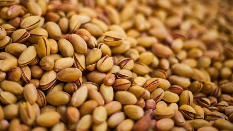 Spania: Fisticul devine cultura-refugiu a fermierilor din Aragón în plină criză agricolă / Fermierii îl văd ca alternativă la culturile care nu mai aduc profit