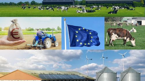 AGRI cere Comisiei Europene mai mulți bani pentru micii fermieri, scăderea plafoanelor de afectare pentru plăți de criză și cerințe de mediu mai accesibile