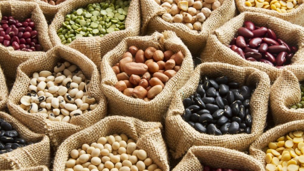 Alimente care îți prelungesc viața/ Michael Greger, medic:  „Au fost identificate peste 200 de substanțe care contribuie la longevitate sau au proprietăți antiîmbătrânire”