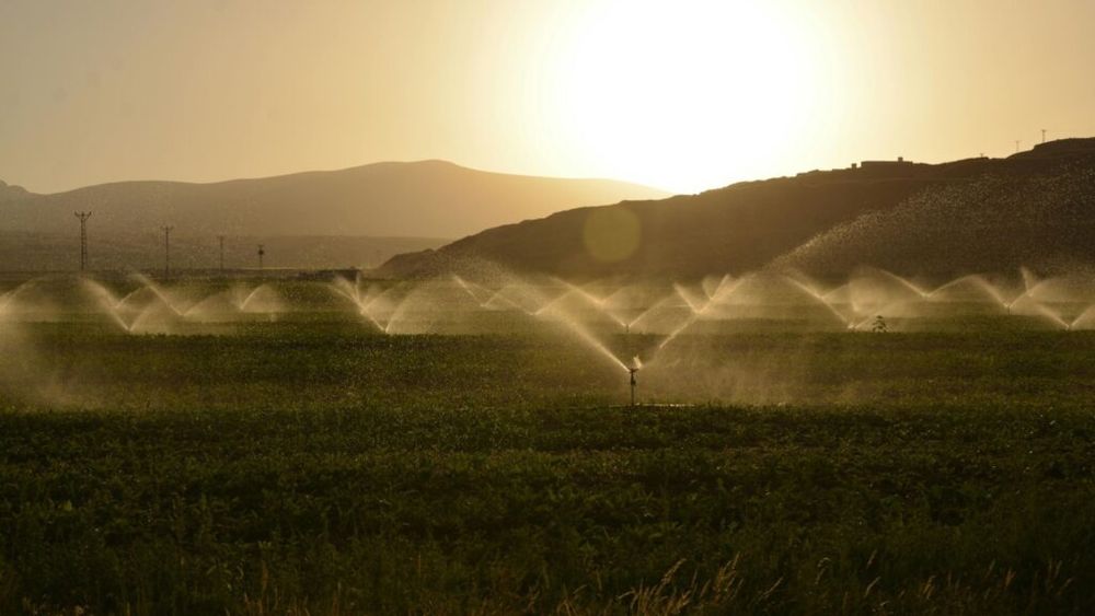România poate sprijini Egiptul prin expertiza pe care o deţine în domeniul irigaţiilor, precum şi al cercetării, astfel încât fermierii din ambele state să devină mai competitivi pe piaţă, susține ministrul Agriculturii
