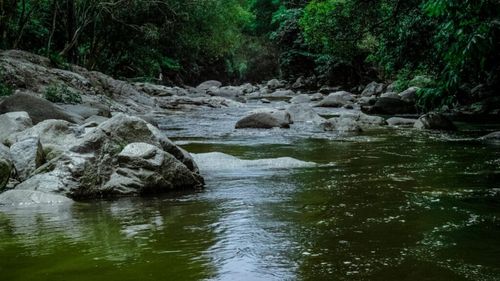 Maramureș: Cursurile de apă din bazinul Someș-Tisa, afectate de temperaturile caniculare / Apel la cetățeni să folosească echilibrat și responsabil resursele de apă