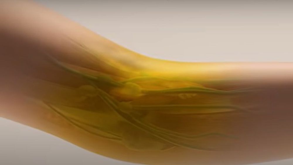 Descoperirea care ar putea revoluționa medicina: Un colorant alimentar obișnuit face pielea și mușchii temporar transparenți