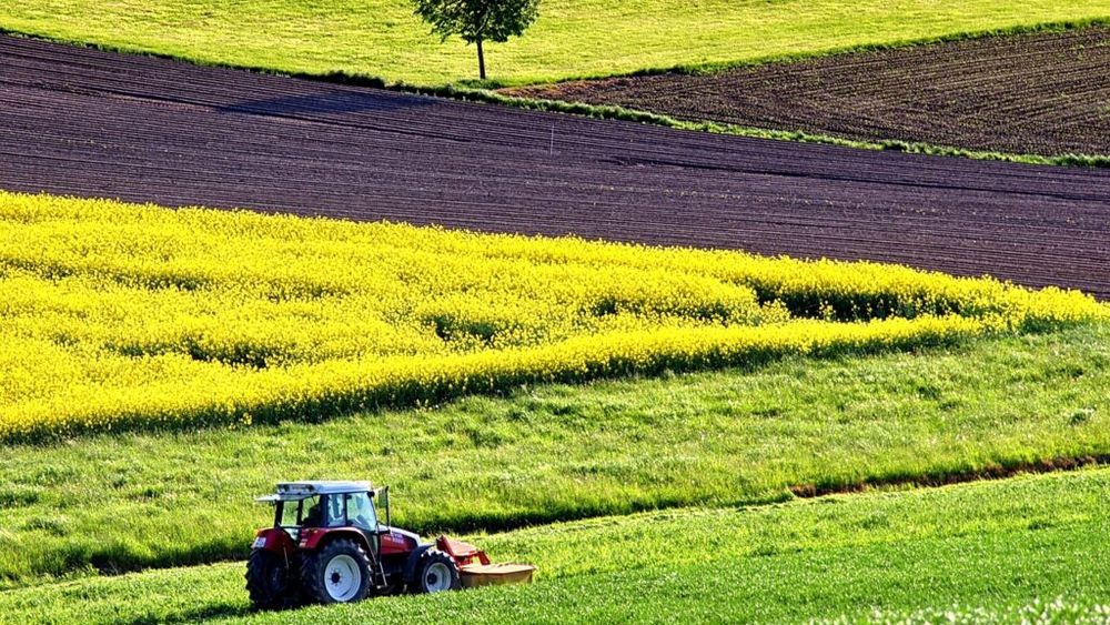 Ce categorii de fermieri vor fi exceptate de la controale şi sancţiuni/ Modificări privind normele de condiţionalitate, aplicabile începând cu anul de campanie 2026