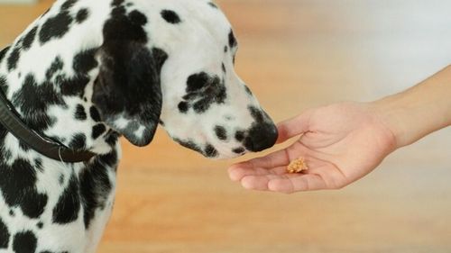 Piața gustărilor și a produselor de ros este preconizată să crească la 15 miliarde până în 2033