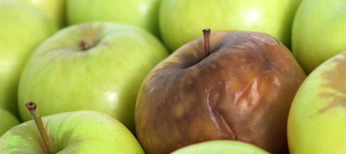 Descoperirea care ar putea reduce risipa uriașă de fructe. Un pliculeț cu argilă pus lângă ele ar putea încetini coacerea în timpul transportului și în supermarketuri