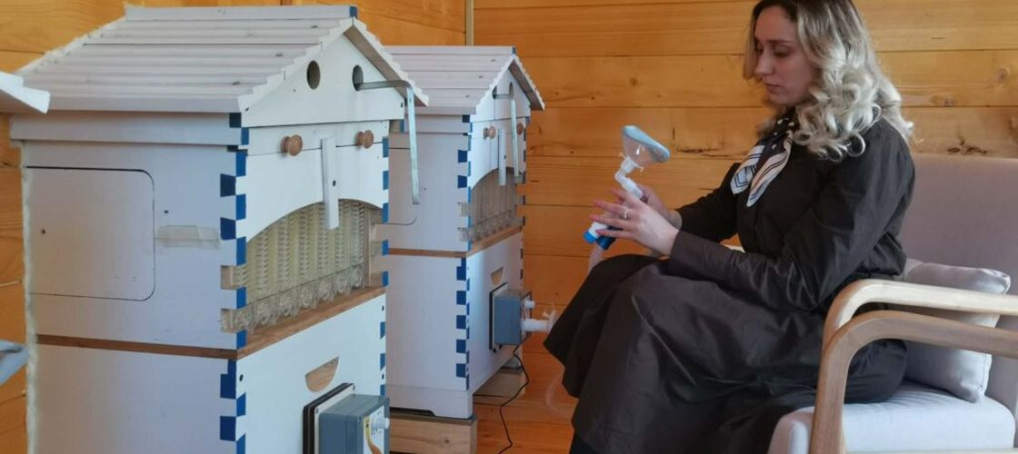 FOTO-VIDEO | Prima „casă a albinelor” pentru apiterapie din Banat a fost deschisă la Timișoara. Start pentru „Ruta Mierii”, un proiect transfrontalier unic în România