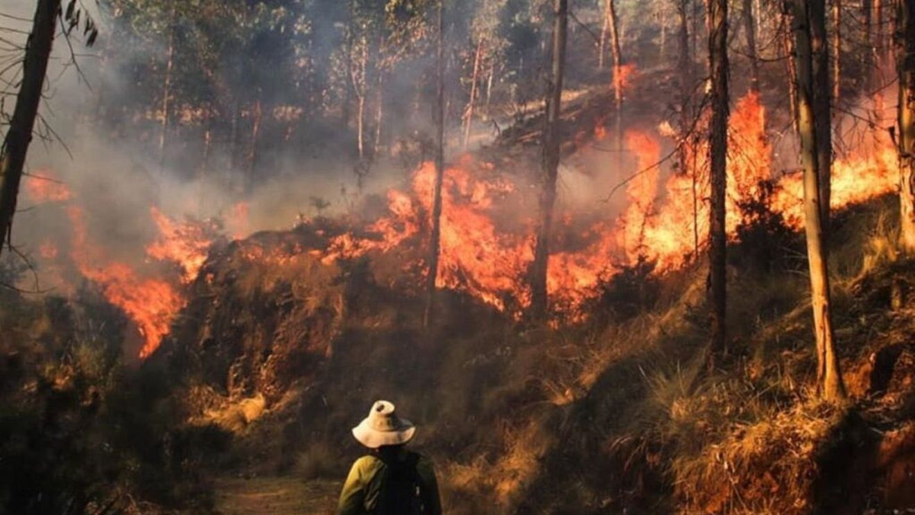 VIDEO: Incendiile de vegetaţie scapă de sub control în Peru, distrugând recolte şi situri arheologice / Președintele a declarat stare de urgență / Incendiile, cauzate adesea de fermieri / Pompier: „Stingem focul, el izbucneşte din nou”
