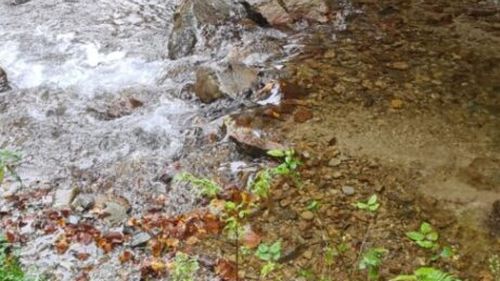 Fără mâncare și haine groase. Un ucrainean pierdut în munți este căutat de salvatori. „Acțiunea va dura 7-9 ore”