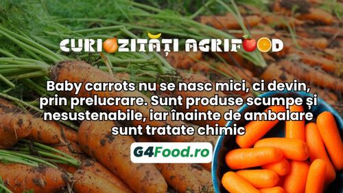Curiozități agrifood - 30 august: Baby carrots nu se nasc mici, ci devin, prin prelucrare. Sunt produse scumpe și nesustenabile, iar înainte de ambalare sunt tratate chimic