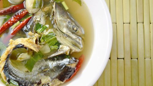 Carnea de piton, propusă ca alternativă la pui sau porc pentru a salva planeta / Supa și tocana de șarpe, deja populare în anumite zone ale lumii