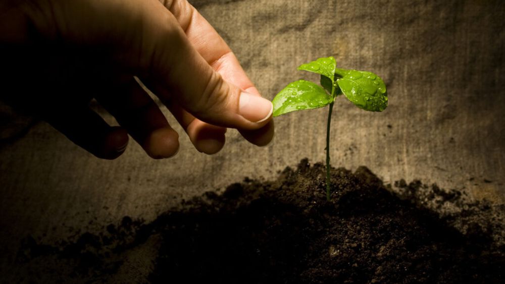 Germania blochează prima lege europeană a solului, deși majoritatea statelor membre o susțin / Directiva nu impune obligații noi pentru fermieri sau silvicultori, ci doar ca statele membre să urmărească și să îmbunătățească sănătatea solului