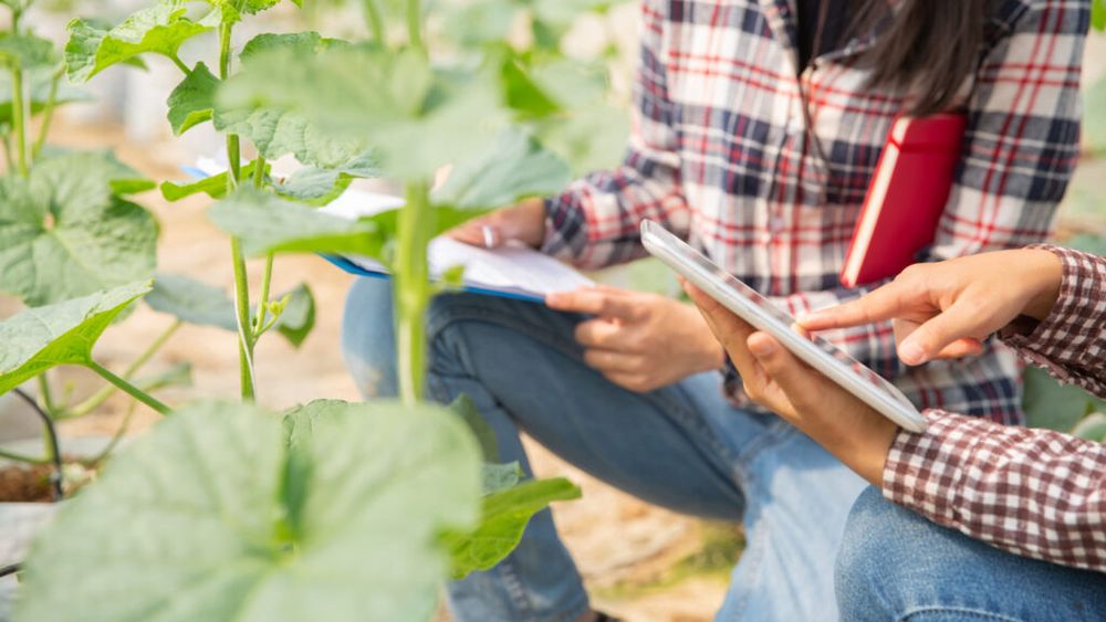 O nouă platformă lansată de Comisia Europeană pentru promovarea femeilor în agricultură / Lansarea coincide cu declararea de către ONU a anului 2026 drept Anul internațional al femeilor fermier