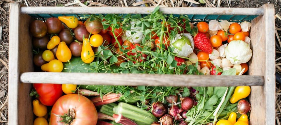 7 legume și plante aromatice pe care e mai ieftin să le cultivi acasă decât să le cumperi / Ce culturi îți pot reduce cheltuielile la supermarket