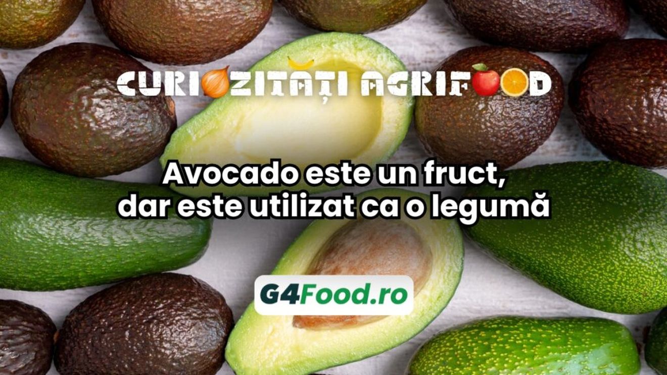 Curiozități agri-food 04 decembrie: Avocado este un fruct, dar este utilizat ca o legumă