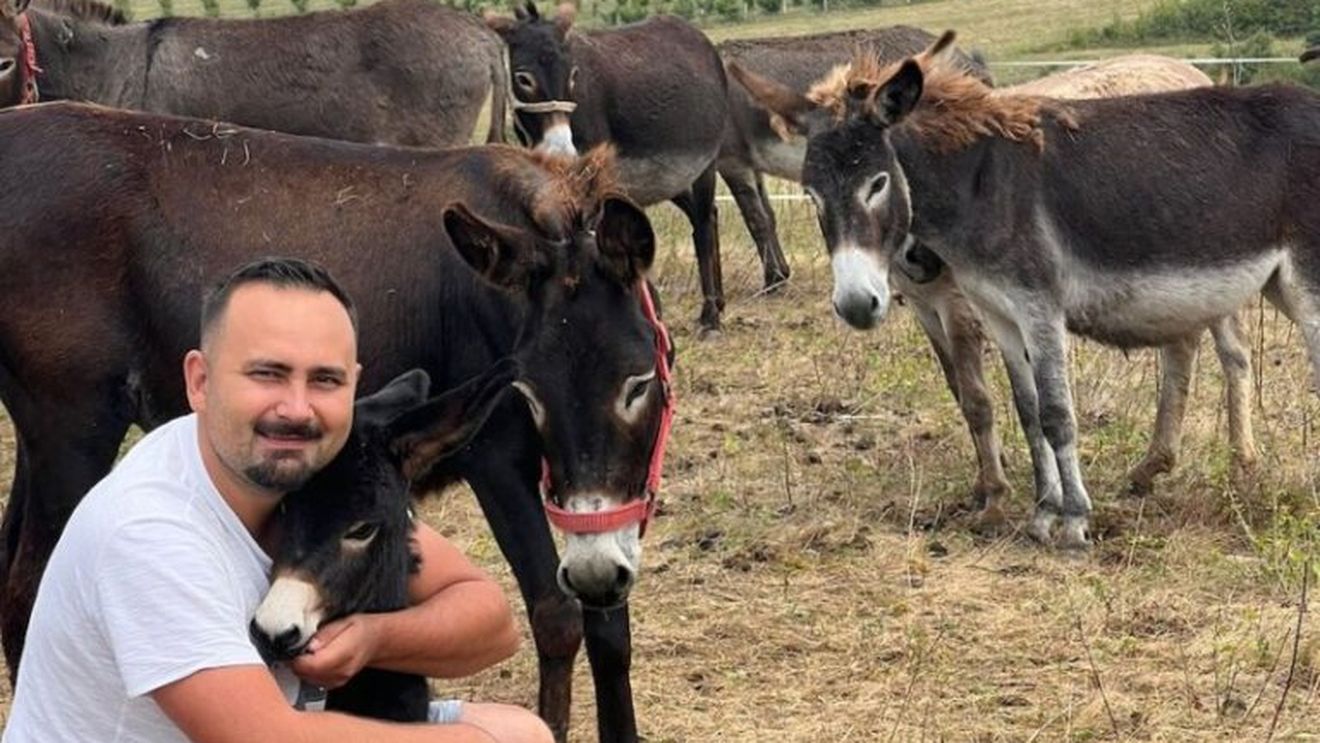 De la frizerie la fermă de măgăruși / Povestea unui sibian care vrea să lase moștenire un stil de viață: „Vrem să creăm prima rasă de măgar românesc, inexistentă momentan în România”