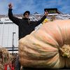 Un dovleac de aproape 1,5 tone ar putea stabili un nou record mondial/ În ce condiții se poate cultiva un asemenea bostan gigant/ Cultivatorul Ron Wallace;SUA: „Este cu adevărat masiv, a fost o plăcere să-l cresc”