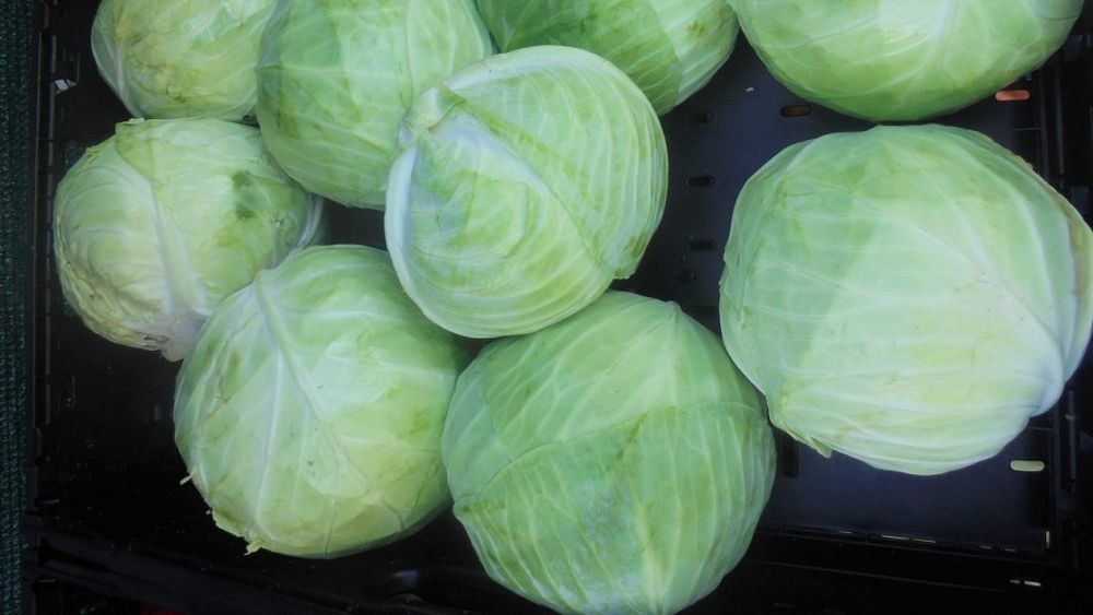 Uniunea Europeană finanțează cu milioane de euro campanii de promovare a produselor agro-alimentare românești; cine sunt beneficiarii