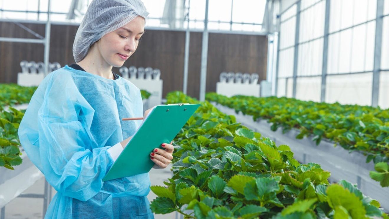 O scurtă istorie a agriculturii în mediu controlat (CEA) / Cea mai veche utilizare a tehnologiilor CEA datează din perioada împăratului roman Tiberius Caesar