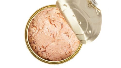 Un somon conservat de acum 40 de ani oferă indicii despre refacerea oceanelor / Descoperirea surprinzătoare a cercetătorilor