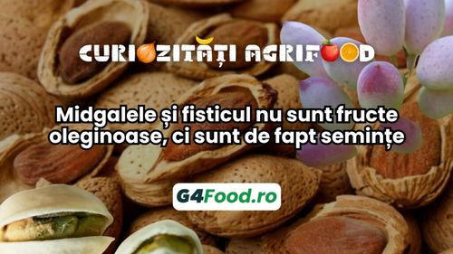 Curiozități agrifood – 31 octombrie: Midgalele și fisticul nu sunt fructe oleginoase, ci sunt de fapt semințe