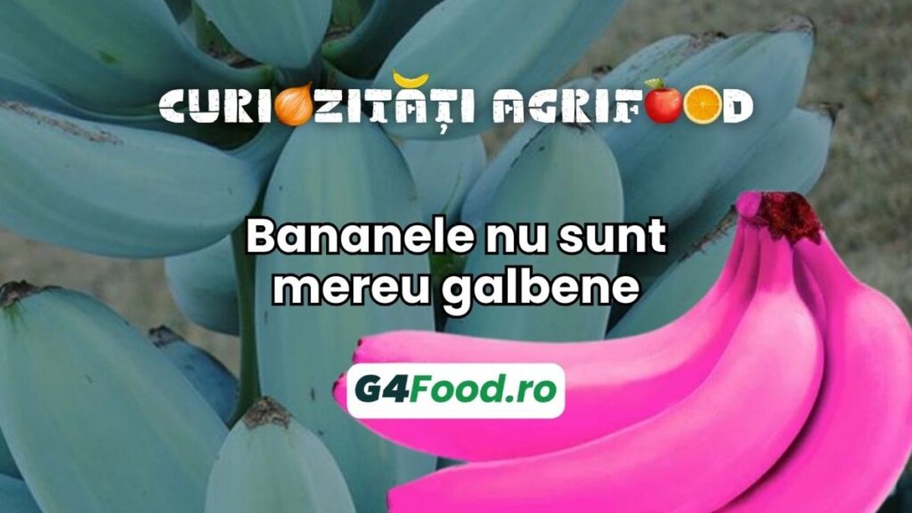 Curiozitate agrifood - 5 august: Bananele nu sunt mereu galbene