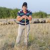 Document exclusiv: petiția oierilor/ 3 milioane de ovine, decimate în câțiva ani/ Ciobanul Ionică, vicepreședinte Asociația Profesională a Ciobanilor: „Până la miel, trebuie să salvăm Miorița. Și prețul la miel este o problemă, dar dacă-ți omoară matca, nu mai ai ce exporta”