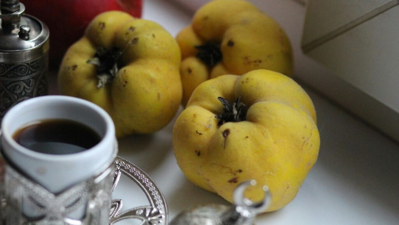 Gutuia, acest minunat fruct de toamnă, are 7 beneficii surprinzătoare pentru sănătate/ Bogată în vitamine, minerale și fibre, ea ar putea ajuta la slăbit, atenuarea ridurilor, prevenirea alergiilor și normalizarea colesterolului și tensiunii arteriale