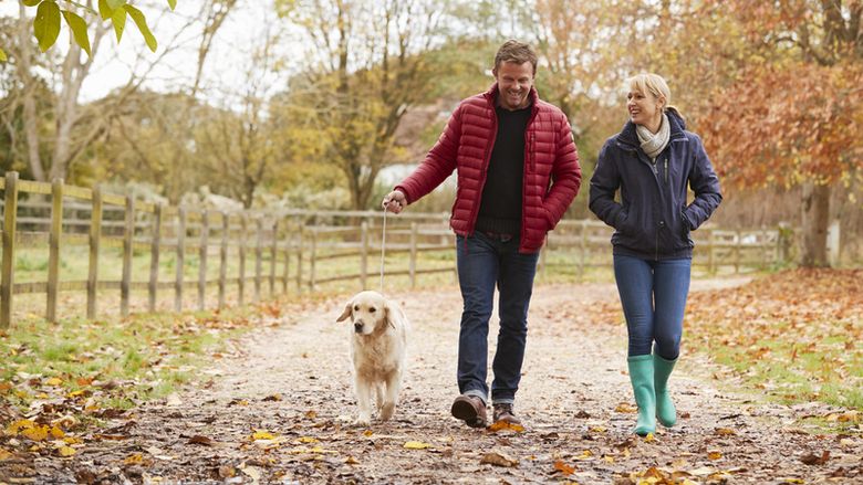 Studiu: 10.000 de pași pe zi nu sunt necesari. Beneficii apar și la 4.000 de pași, spun cercetătorii de la Universitatea Harvard