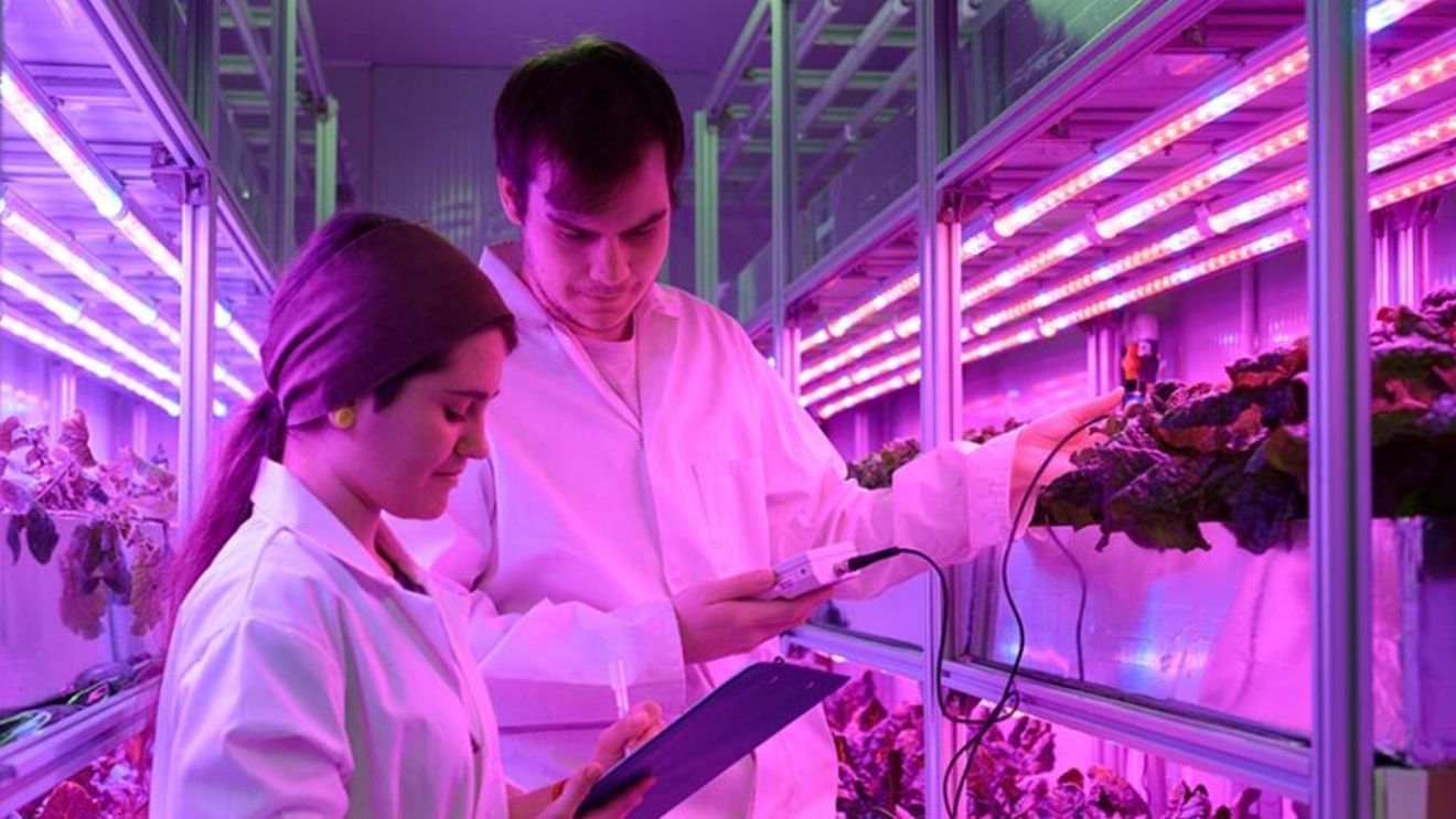 Masterat dedicat agriculturii inteligente, lansat de o universitate britanică / S-au înscris studenți din toată lumea