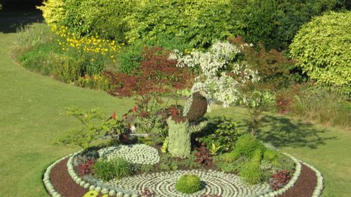 Rețeaua fermierilor pentru biodiversitate în agricultură / Proiectul FarmBioNet se lansează în februarie și vizează protejarea biodiversității 