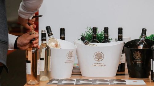 Crama Domeniile Davidescu anunță vânzări de 14 milioane de lei în 2024, în creștere cu 24% față de anul anterior. Compania estimează o creștere de 25% în acest an