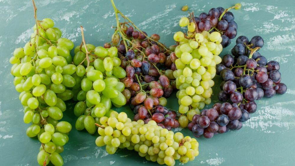 Cultura de viță-de-vie în 2024/Se așteaptă creșteri de prețuri la vinuri din cauza impactului secetei asupra recoltei de struguri/Bilanțul ADAR oferă o imagine de ansamblu asupra efectelor secetei în viticultură