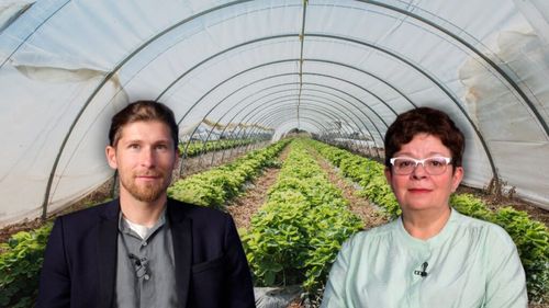 VIDEO | Agricultura în schimbare | Inginerul constructor care s-a lăsat de meserie și a fondat ferma „Sol și Suflet”/ Ionuț Bădică: „Nu aș putea să creez o nebunie cu chimicale! Nu mi-ar cânta inima”