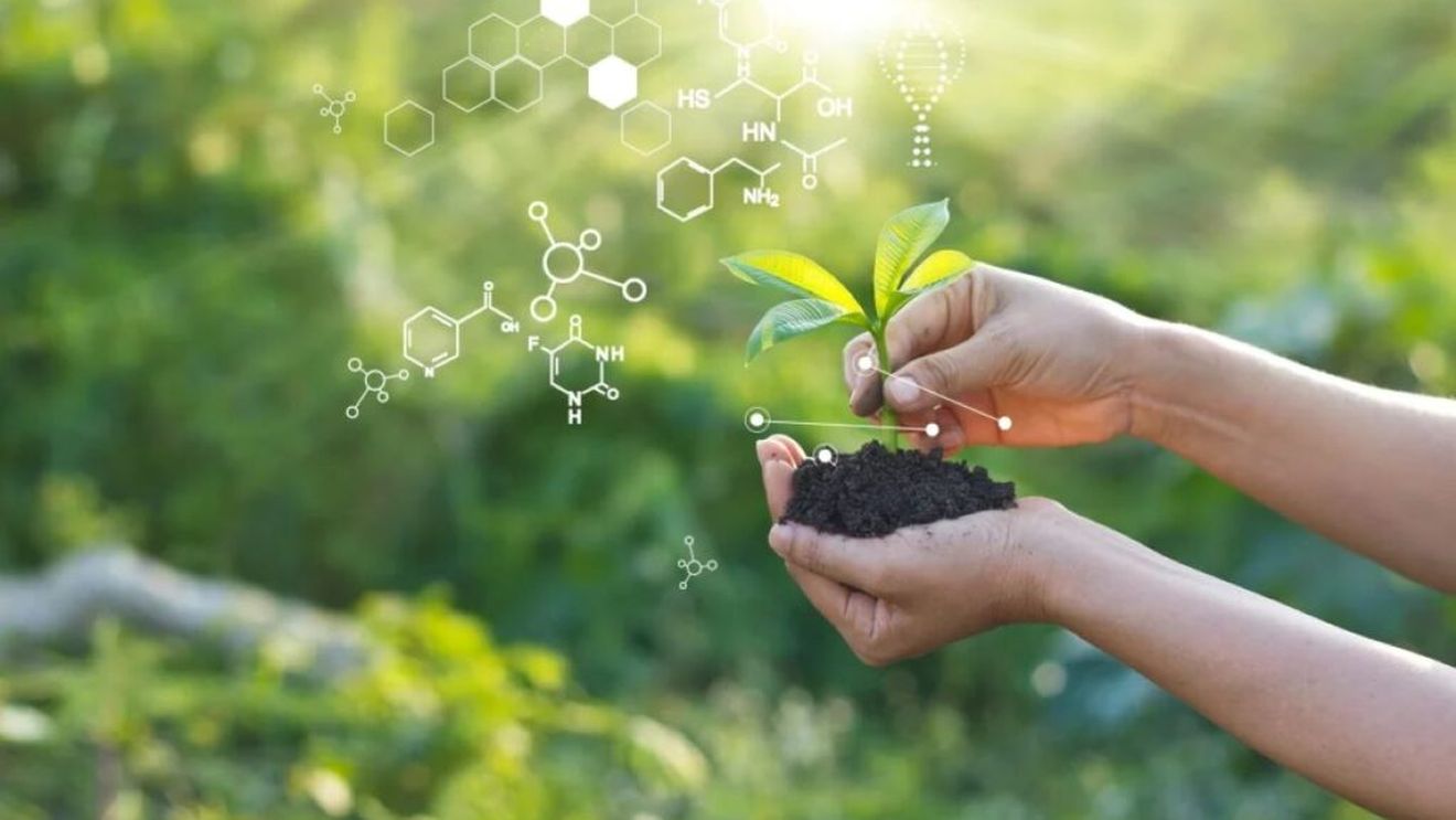 Biostimulatorii reprezintă pariul viitorului pentru agricultura sustenabilă. Sunt substanțe provenite din surse vegetale și ajută direct planta sau mediul său de viață și reprezintă o piață de 5 miliarde de euro anual doar în Europa