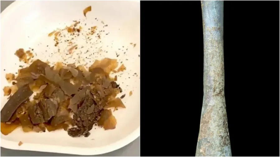 fecale-umane-romani-medicament-inflamatii-infectii-cimbru-ulei-de-masline