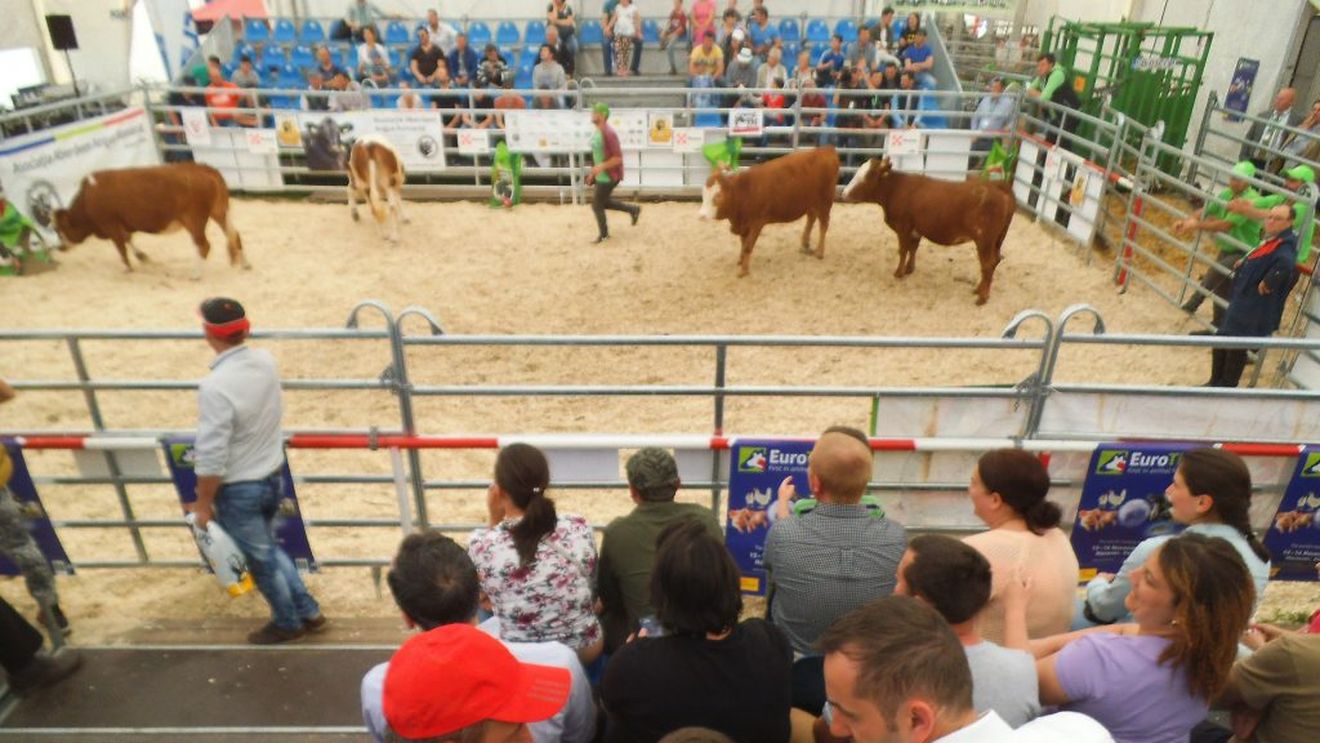 Târguri internaționale cu profil agro-alimentar, anulate sau amânate din cauza epidemiei de coronavirus ( CO-VID 19 )