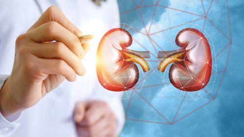 Nu există alimente de origine animală care să protejeze rinichii. Aliații organelor responsabile de filtrarea și eliminarea toxinelor din sânge sunt câteva legume și fructe la îndemâna oricui