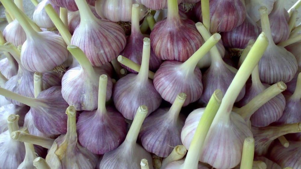 Planeta miroase a usturoi chinezesc! Exporturi-record de peste 2 milioane de tone; importurile totale ale României depășesc 6000 de t anual