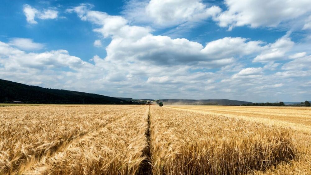 Ministrul Agriculturii anunță că Guvernul a aprobat suplimentarea bugetului de investiţii pentru agricultură cu 578 de milioane de lei