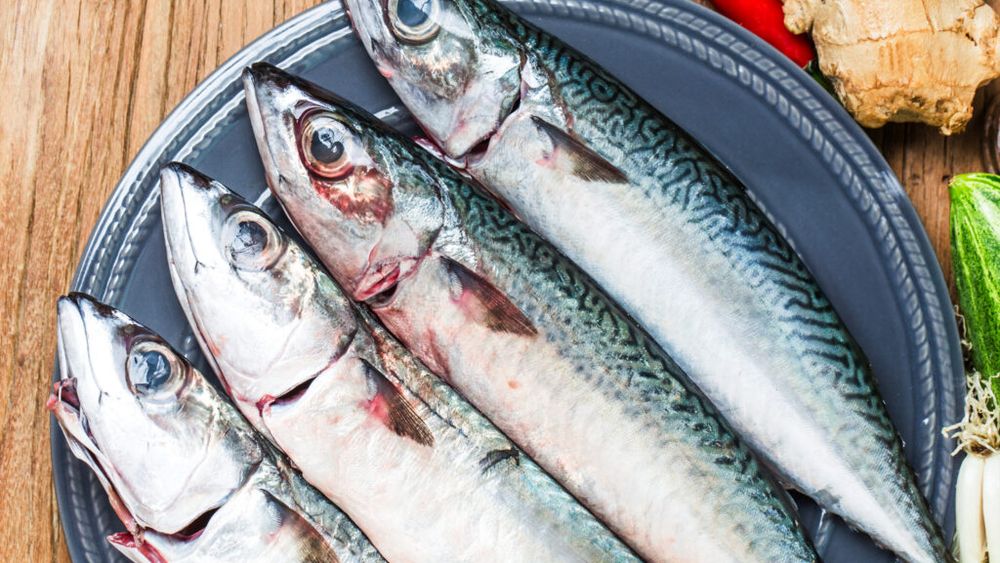 Aproape 600 de kilograme de scrumbie, confiscate la o pensiune din Delta Dunării / Peștele nu avea acte de proveniență, iar întreaga cantitate va fi distrusă