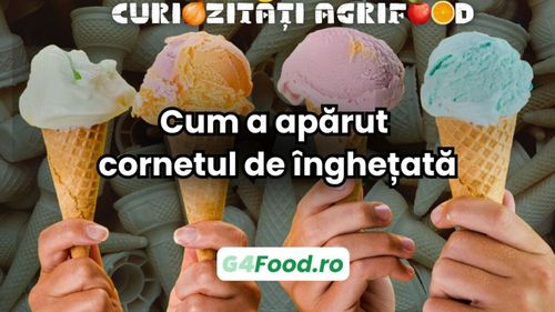 Curiozități agrifood | Cum a apărut cornetul de înghețată/ Apariția sa a revoluționat modul în care consumăm acest desert îndrăgit