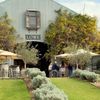 O cramă și-a transformat via într-o pădure comestibilă. Tot ce cultivă ajunge în meniul restaurantului / Cum funcționează conceptul farm-to-table
